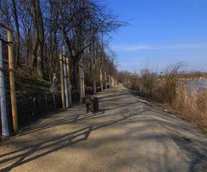 Park Żerański w Warszawie