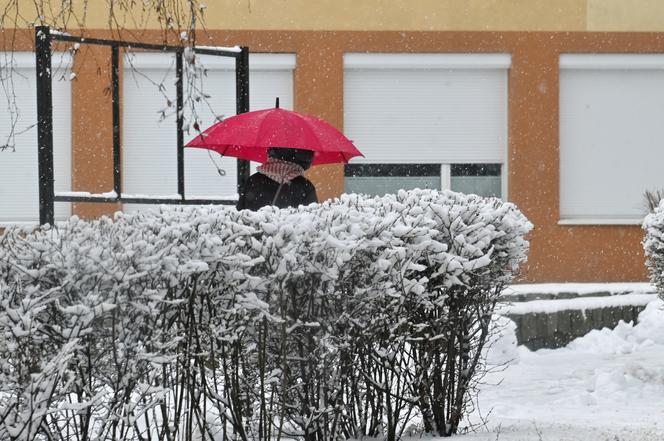 Śnieżny Szczecin 