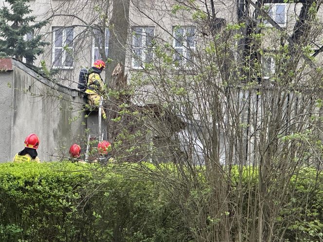Ktoś podpalił zabytkową drewnianą mającą 208 lat dzwonnicę