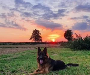Oto urocze psiaki naszych Czytelników!
