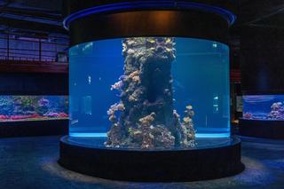 Nowe atrakcje w łódzkim Orientarium