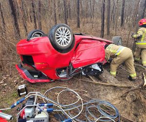 Śmiertelny wypadek pod Sandomierzem! Audi przygniecione przez drzewo. 35-latek nie żyje [ZDJĘCIA].