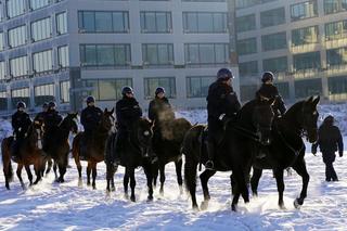 Niecodzienne sceny w Warszawie. Policyjne konie brały udział w specjalnych ćwiczeniach