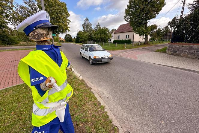 Policjant "drewniak" pilnuje porządku przy drodze na Mazurach. Sprawa trafiła na policję