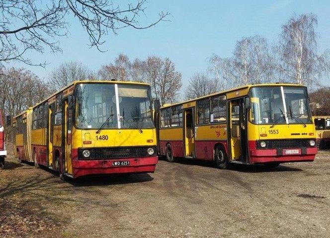 W Łodzi na trasy turystyczne wyruszyły autobusy Ogórek i Ikarus oraz tramwaj Sanok. Zostaną na długo! [TRASY, TERMINY]