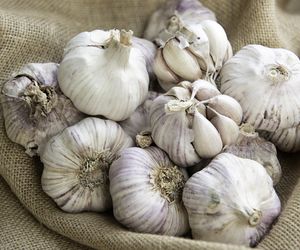 Jak jeść czosnek, by wyleczyć grypę i przeziębienie?