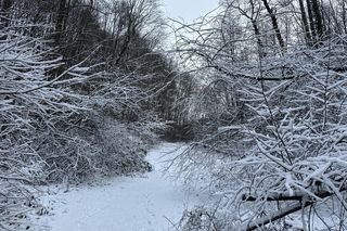 Dolina Mnikowska. Wyjątkowe miejsce w Małopolsce