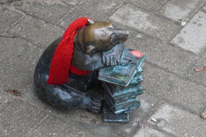 WidziMisie w Białymstoku gotowe na zimę