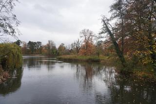Park Sołacki w Poznaniu jesienią
