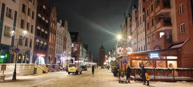 Rozświetlenie elbląskiej choinki miejskiej