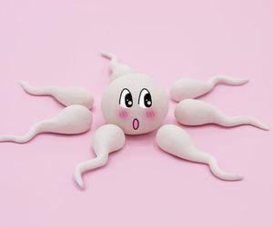 Czy preejakulat zawiera plemniki? Preejakulat a ryzyko ciąży