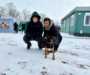 Schronisko dla bezdomnych zwierząt w Henrykowie prosi o słomę [ZDJĘCIA]