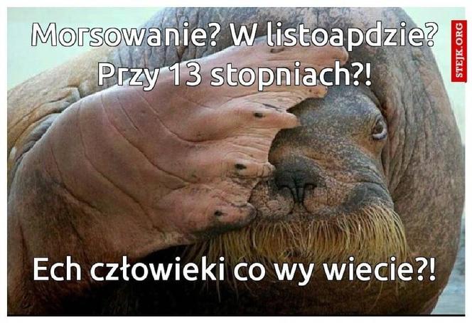 Morsowanie: MEMY 2021. Zobacz najlepsze obrazki i memy o morsowaniu! [ZDJĘCIA]