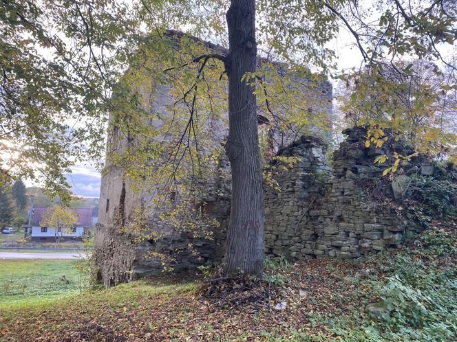 Zamek w Dąbrówce Starzeńskiej