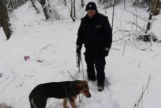 Ktoś przywiązał psa do drzewa w środku lasu na mrozie i śniegu! Wycieńczone zwierzę uratowali policjanci [ZDJĘCIA]
