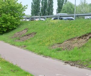 Warszawa sparaliżowana! Karambol po potrąceniu dzika. Kosmiczny korek aż do Marsa