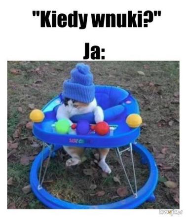 Dzień Kota 2020