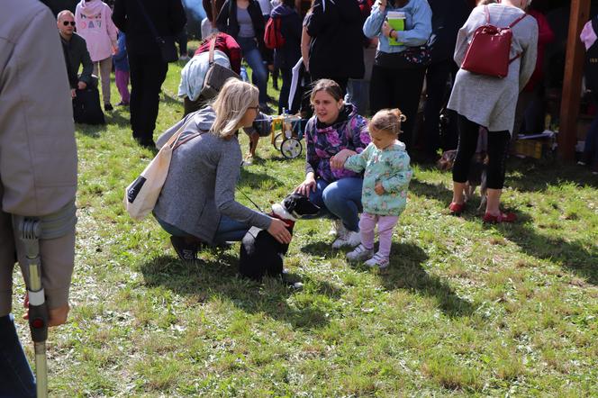 IX Piknik Przyjaciół Schroniska w Toruniu