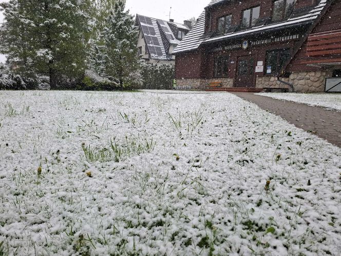 Śnieżyca w Małopolsce. Atak zimy w połowie maja!
