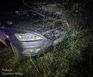 Ma sporo za uszami. Pijany 18-latek uciekał ulicami Gorzowa