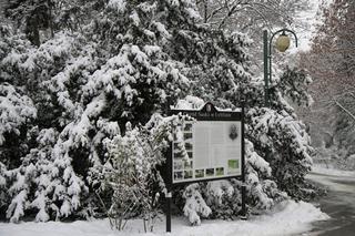 Pierwszy śnieg w Ogrodzie Saskim w Lublinie w tym sezonie!