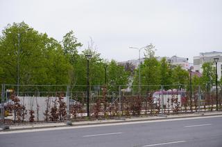 Ogród Wolności przy Alei IX Wieków Kielc