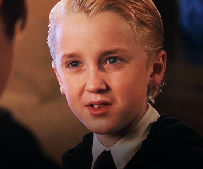 Draco Malfoy / Harry Potter