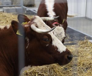 ZooPark ponownie przyciągnął do Targów Lublin tłumy miłośników zwierząt