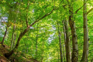 Zachód słońca na Hali Jaworowej w Beskidzie Śląskim jest niesamowity. Te zdjęcia to dowód