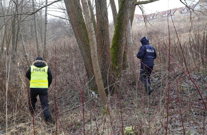 Tragiczny finał poszukiwań. Ciało 68-latka odnaleziono w bagiennym terenie
