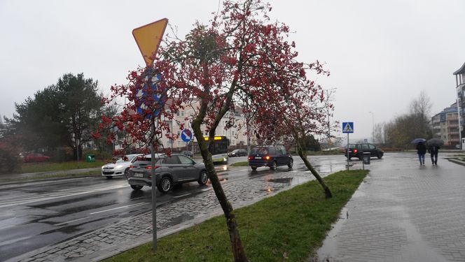 To najmłodsze osiedle Olsztyna. Ma tylko 17 lat. Wcześniej były tam pola i łąki