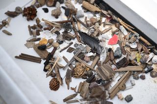 Autonomiczny robot będzie czyścił plażę w Gdańsku