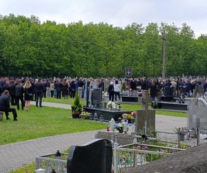 Rąbnęli w łosia, osierocili synka