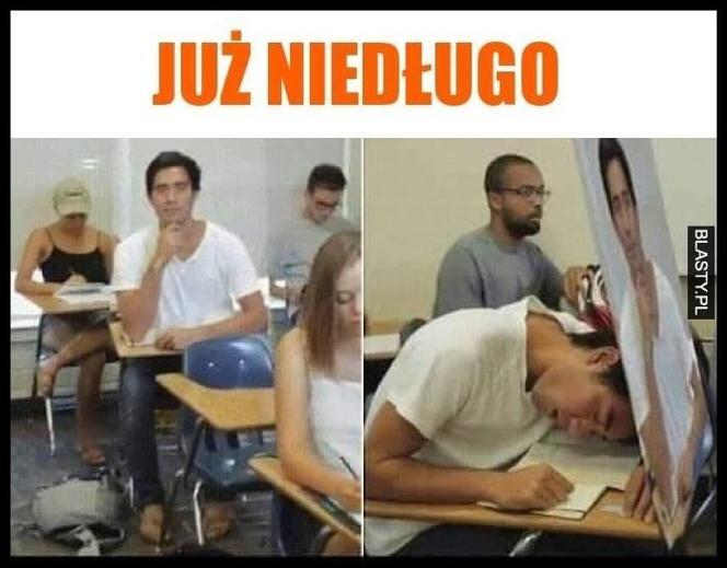 Początek roku akademickiego 2022/2023. Zobacz najlepsze memy o studiach i studentach!