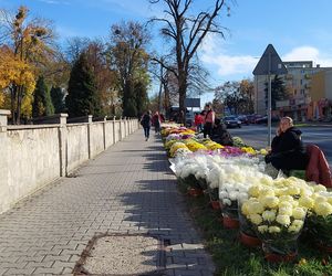 Przygotowania do Wszystkich Świętych Zamość