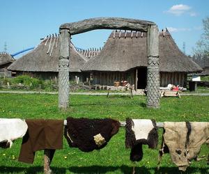 Lekcje w terenie - historyczne i naukowe atrakcje dla ucznia, które uczą i bawią