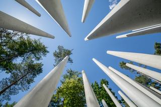 Monument Pamięci w Lesie Szpęgawskim autorstwa Katarzyny Ephraim