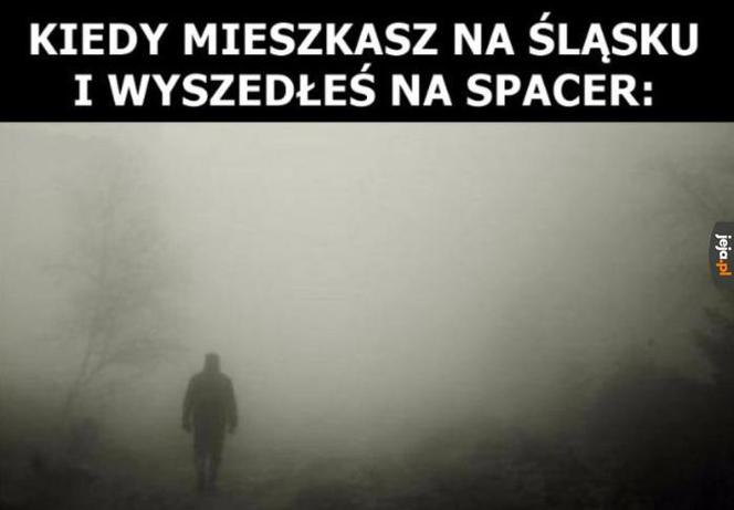 Memy o Śląsku i Ślązakach