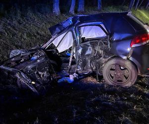 Śmiertelny wypadek pod Miliczem. 18-latek nie żyje [ZDJĘCIE]. 