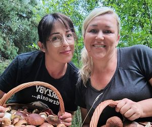 Wysyp grzybów w woj. świętokrzyskim. „Rosną jak na drożdżach”. Mamy zdjęcia!