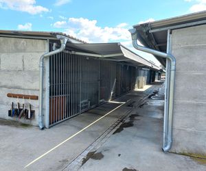 ​W schronisku dla zwierząt w Henrykowie koło Leszna montują markizy. Dadzą psom cień w gorące dni