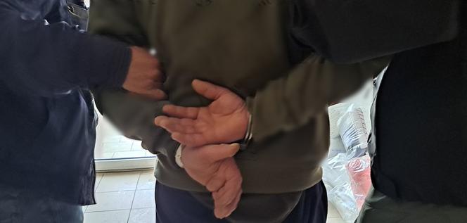 Wielka akcja policji w Podlaskiem. Zlikwidowali plantację konopi. 29-latek na wiele lat może trafić do więzienia