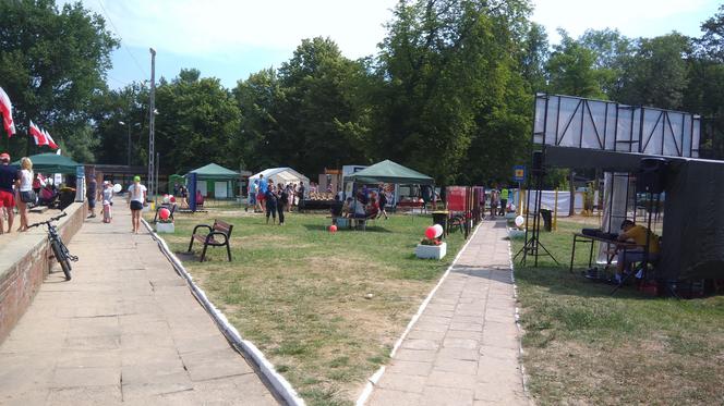 Hurtostal Cup