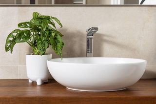 Rośliny doniczkowe do łazienki