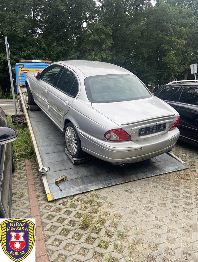 Szpecą i blokują miejsca parkingowe. Elbląska Straż Miejska walcz z wrakami