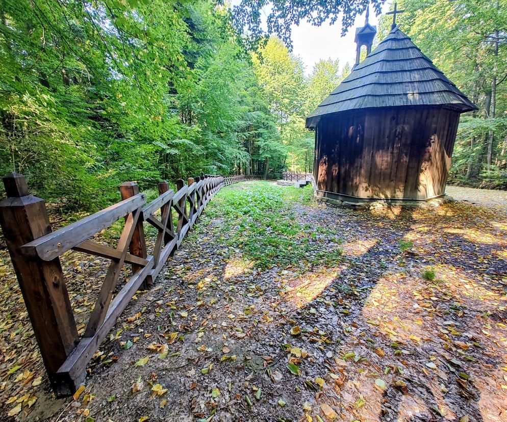 Świętokrzyski Park Narodowy zyskuje nowe, przyjazne oblicze wejścia głównego