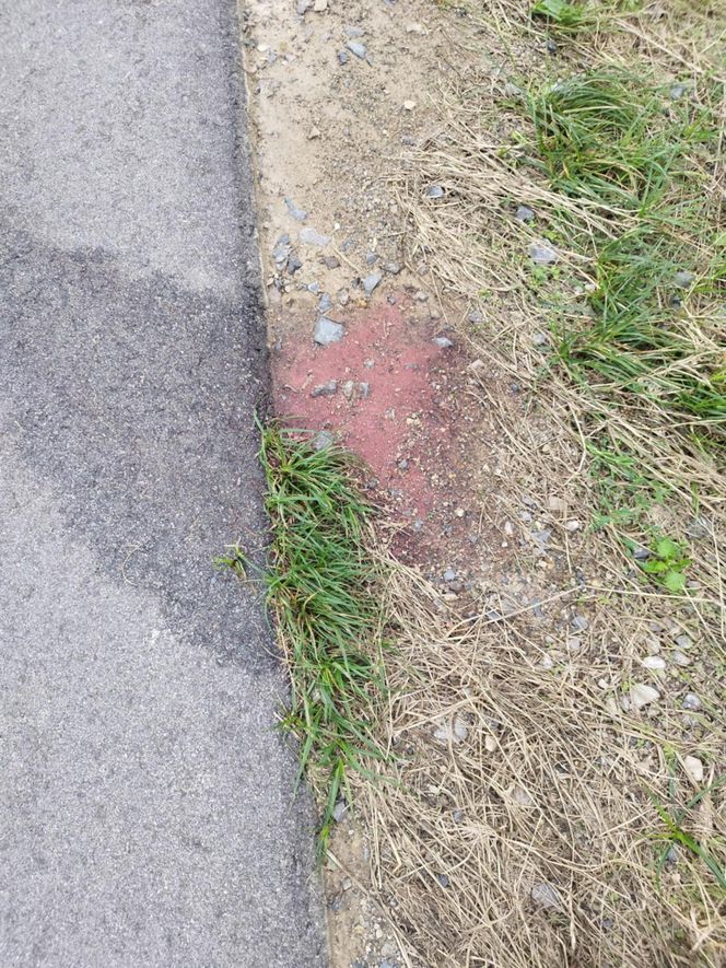 Ślady zbrodni na drodze, spalone ubrania ofiary spod Grójca. Sąsiedzi: "Myśleliśmy, że to mafijne porachunki"