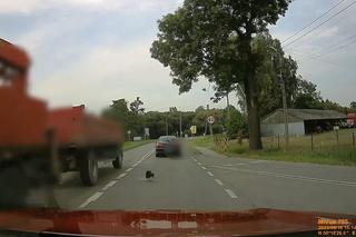 Cudem uniknęła śmierci. Wszystko zarejestrowała kamera...