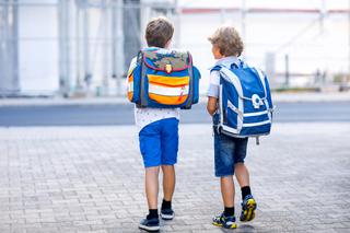 Plecaki szkolne  - jaki wybrać tornister do szkoły?