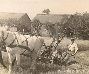 Wilkołaskie żniwa w I połowie XX wieku